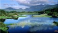 /album/la-naturaleza-creacion-de-dios/a2a6f50f33-jpg/