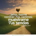 /album/la-naturaleza-creacion-de-dios/a5119d424b13d46298d6b3f33b78bf07a-jpg/